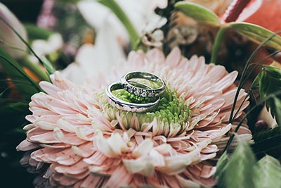 Beautiful pink flower with two wedding rings placed on top